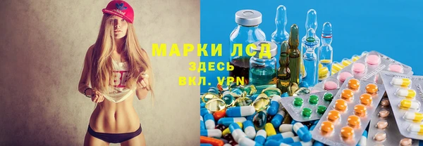 прущие крисы Новозыбков