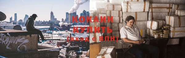 прущие крисы Новозыбков