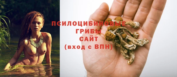 ECSTASY Новодвинск