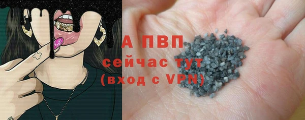 прущие крисы Новозыбков