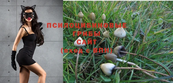 прущие крисы Новозыбков