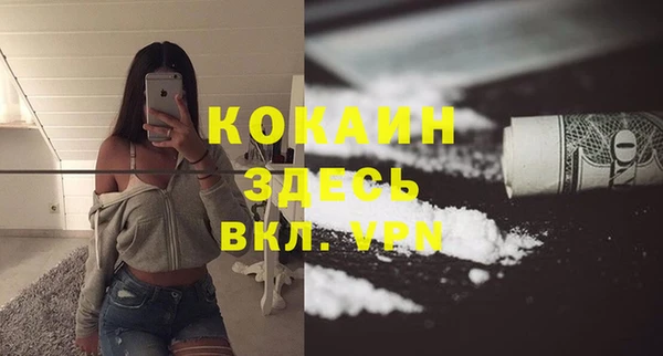 прущие крисы Новозыбков