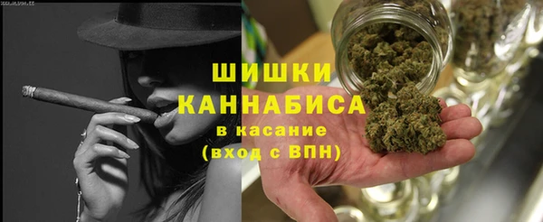 прущие крисы Новозыбков