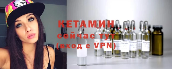 прущие крисы Новозыбков