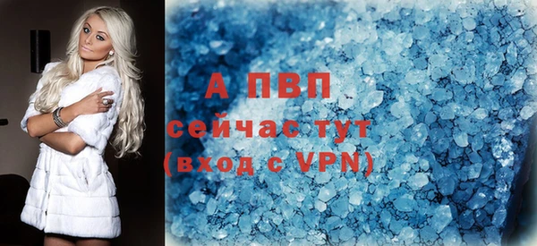 прущие крисы Новозыбков