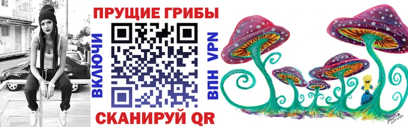 цены наркотик  Щучье  Галлюциногенные грибы мицелий 